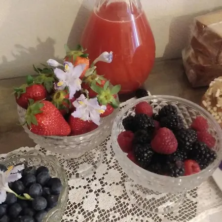 Alojamento de Acomodação e Pequeno-almoço Papillon *