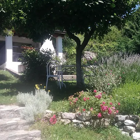 Papillon Bed & Breakfast 3*