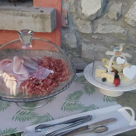 B&B Papillon